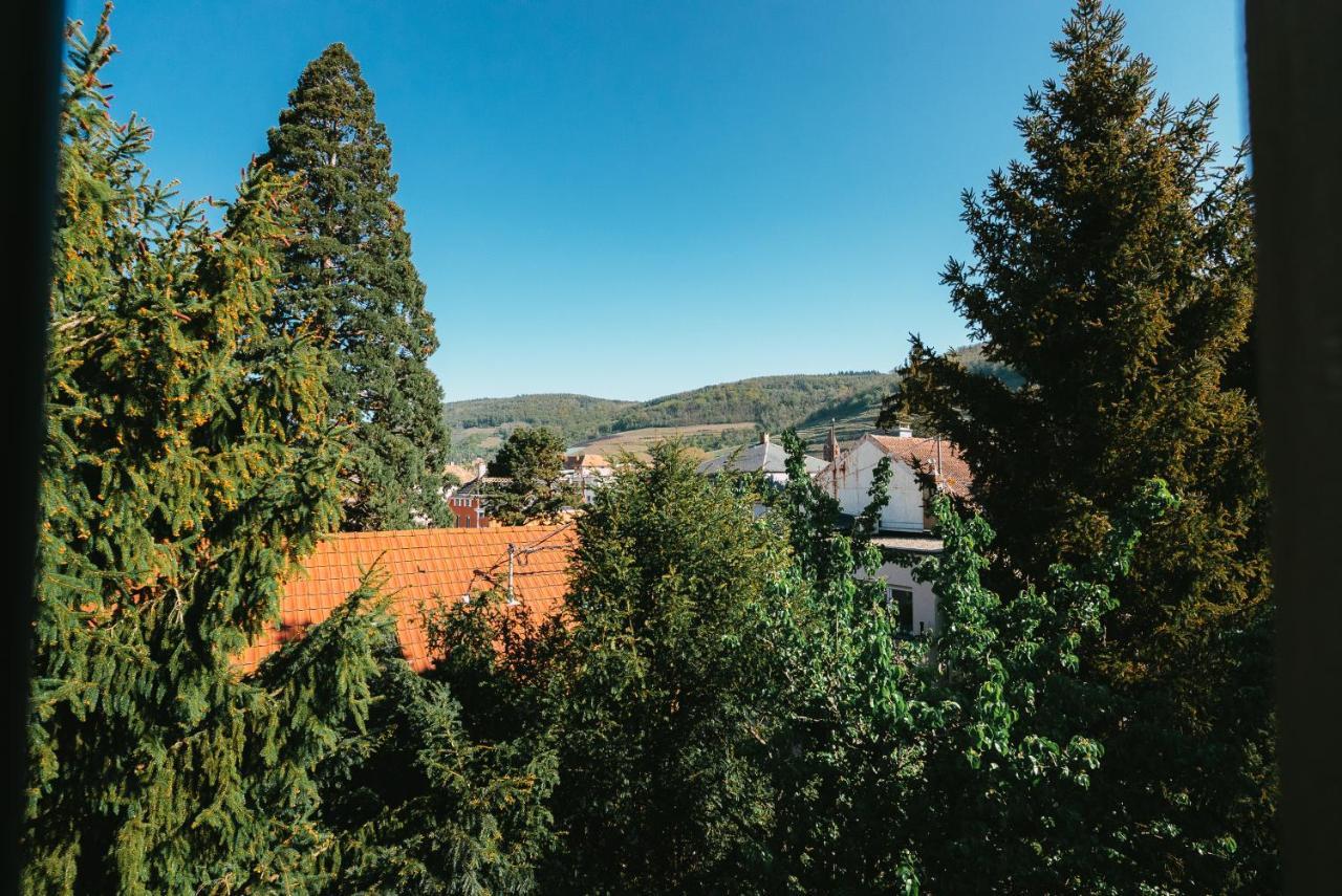 Domaine Boheme I Art De Vivre Lejlighed Guebwiller Eksteriør billede